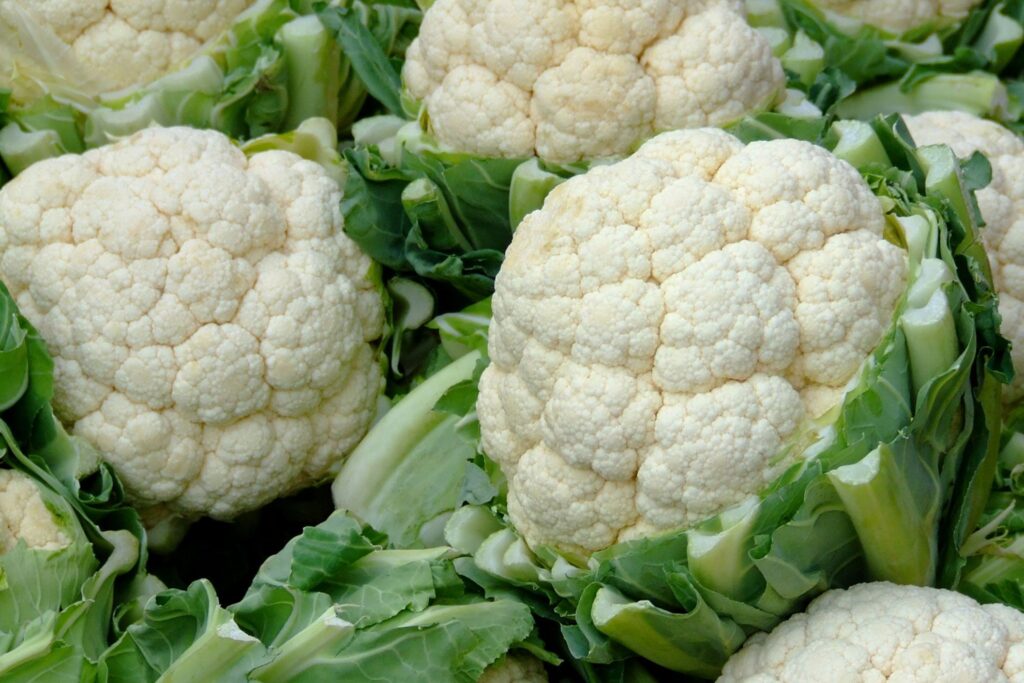 Discover The Best Foods For Strong And Healthy Kidneys