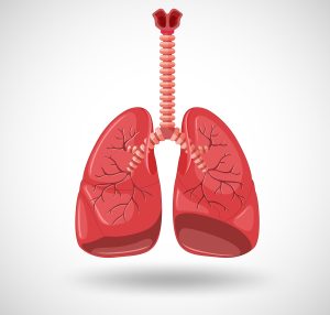 6 Body Organs You Can Donate While Alive