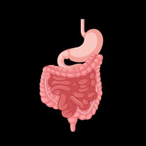 6 Body Organs You Can Donate While Alive