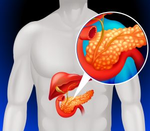 6 Body Organs You Can Donate While Alive